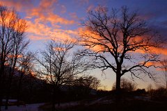 photo 0022